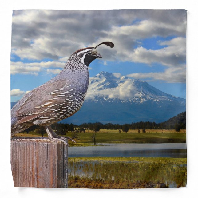QUAIL AND SHASTA BANDANA (Front)