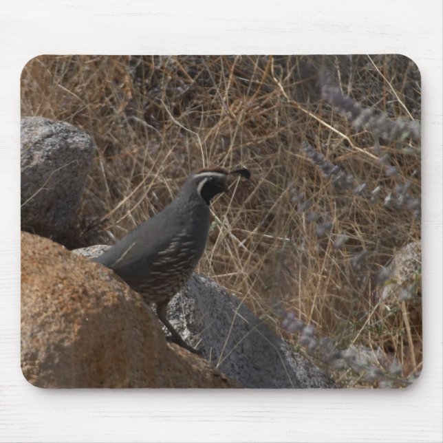 Quail Bird In The Desert Mouse Pad (Front)