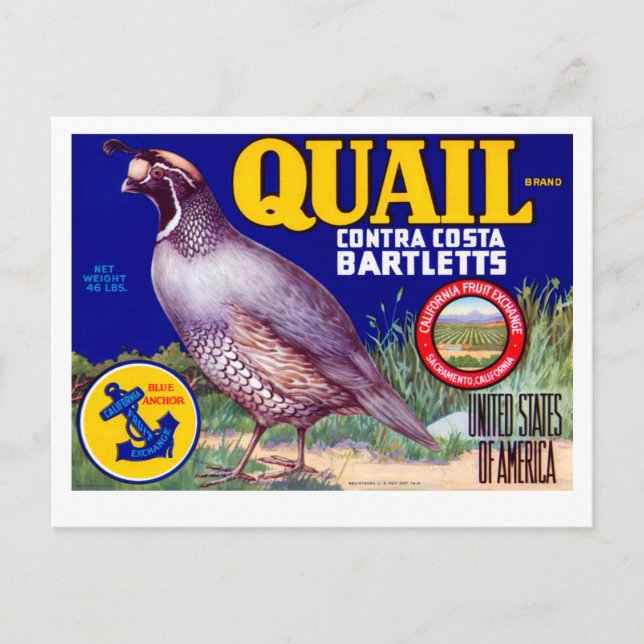 Quail Brand Contra Costa Bartletts Postcard (Front)