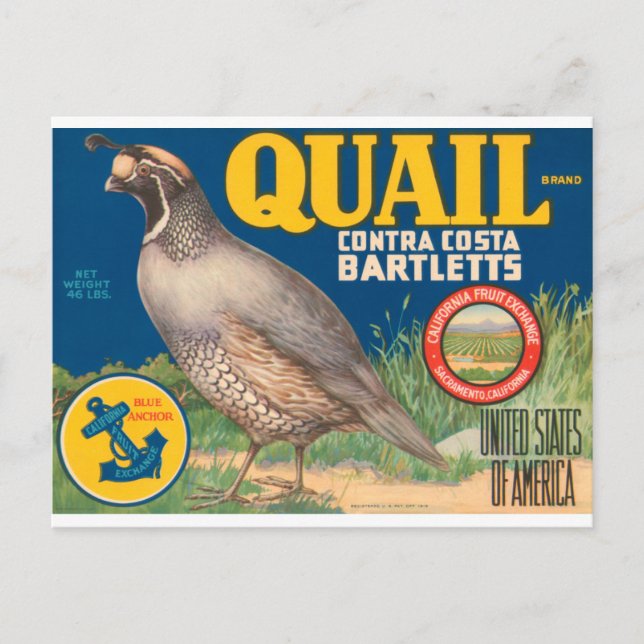 Quail Brand Contra Costa Bartletts Postcard (Front)
