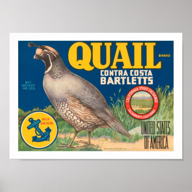 Quail Brand Contra Costa Bartletts Poster (Front)