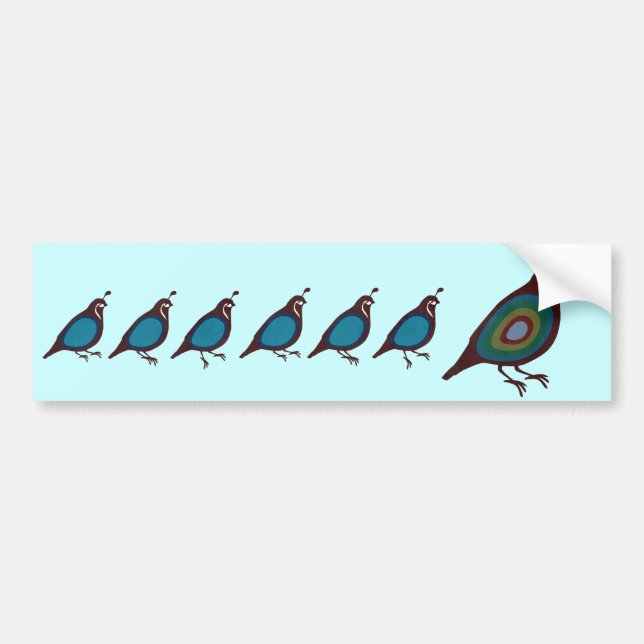 Quail Bumper Sticker (Front)