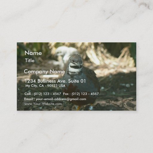 Customizable Quail Business Card Template