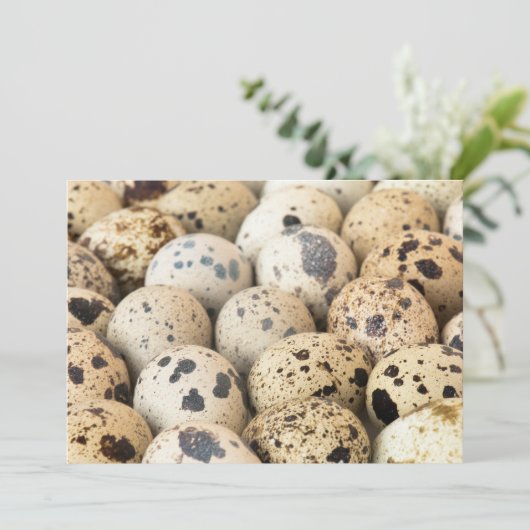 Quail Eggs (Standing Front)