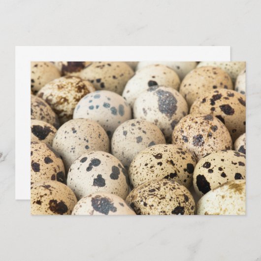 Quail Eggs (Front/Back)