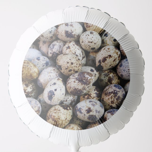 Quail Eggs Balloon (Front)