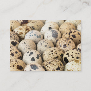 Quail Eggs Business Card
