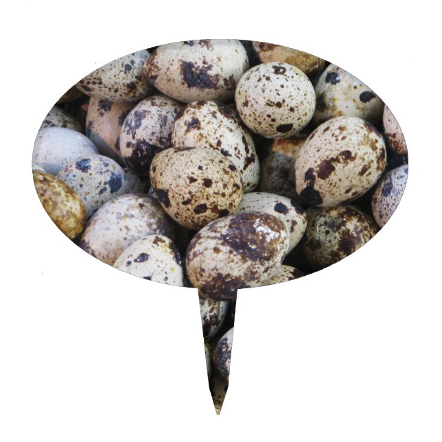 Quail Eggs Cake Topper (Front)
