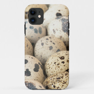 Quail Eggs iPhone 11 Case