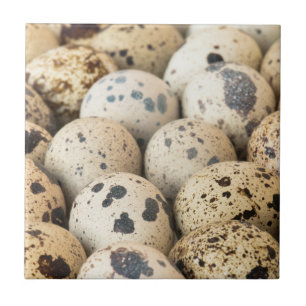 Quail Eggs Ceramic Tile