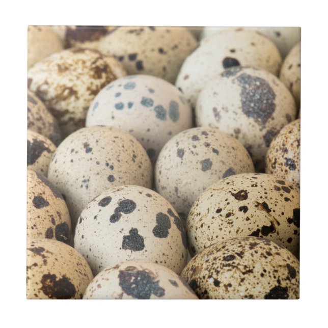 Quail Eggs Ceramic Tile (Front)