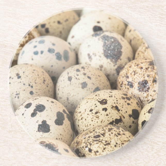 Quail Eggs Coaster (Front)