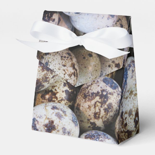 Quail Eggs Favor Boxes (Front Side)