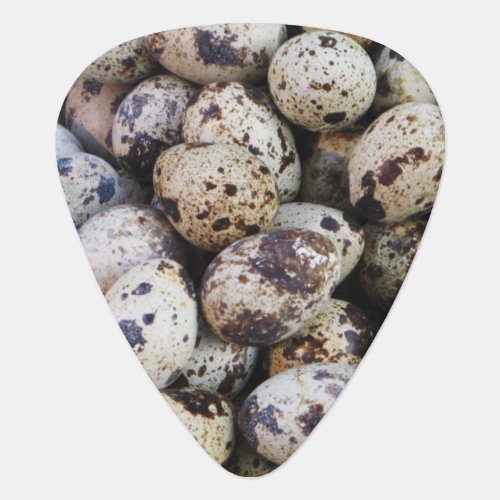 Quail Eggs Guitar Pick