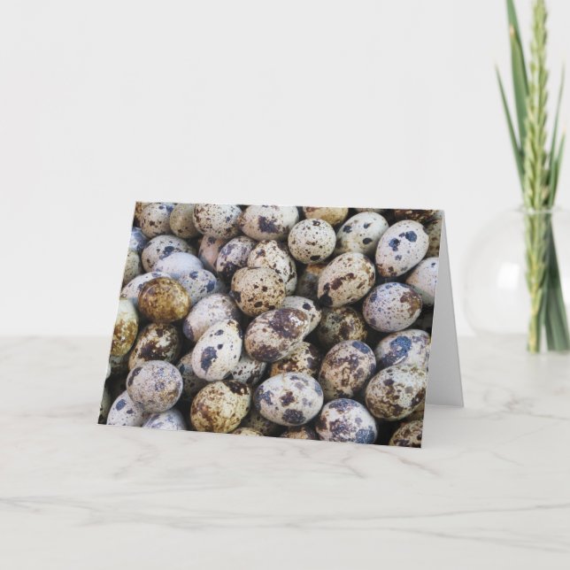 Quail Eggs Holiday Card (Front)