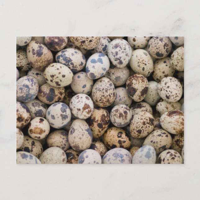 Quail Eggs, Huaraz, Cordillera Blanca, Ancash Postcard (Front)
