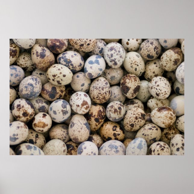 Quail Eggs, Huaraz, Cordillera Blanca, Ancash Poster (Front)