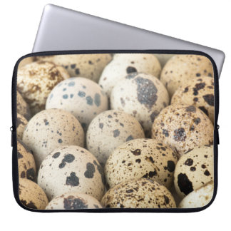 Quail Eggs Laptop Sleeve