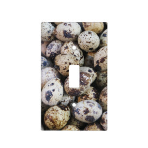 Quail Eggs Light Switch Cover