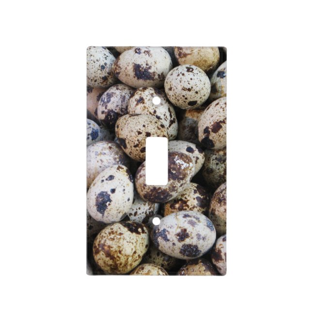 Quail Eggs Light Switch Cover (Front)