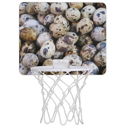 Quail Eggs Mini Basketball Hoop
