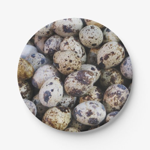 Quail Eggs Paper Plates