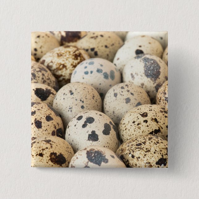 Quail Eggs Pinback Button (Front)