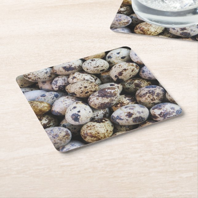 Quail Eggs Square Paper Coaster (Angled)