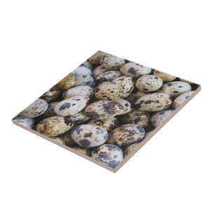 Quail Eggs Tile
