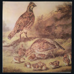 Quail Family Cloth Napkins<br><div class="desc">This is a reprint of the original Currier & Ives lithograph called, "The Cares of a Family", showing a family of quail in a meadow with soft summer light.</div>