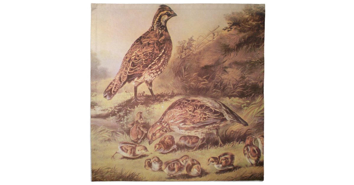 Quail Family Cloth Napkins Zazzle