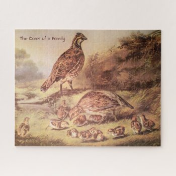 Quail Family Large Puzzle (500 Pieces) by vintageamerican at Zazzle