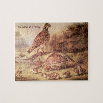 Quail Family Puzzle (100 Pieces) by vintageamerican at Zazzle