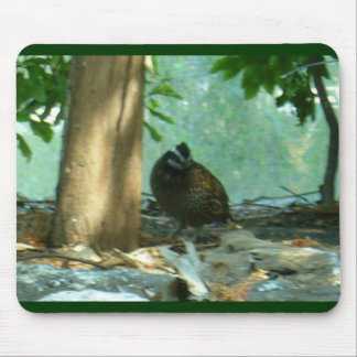 Quail Mouse Pad