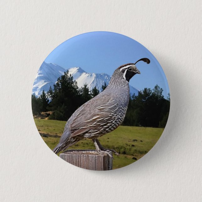 QUAIL ON DREAM POINT PINBACK BUTTON (Front)