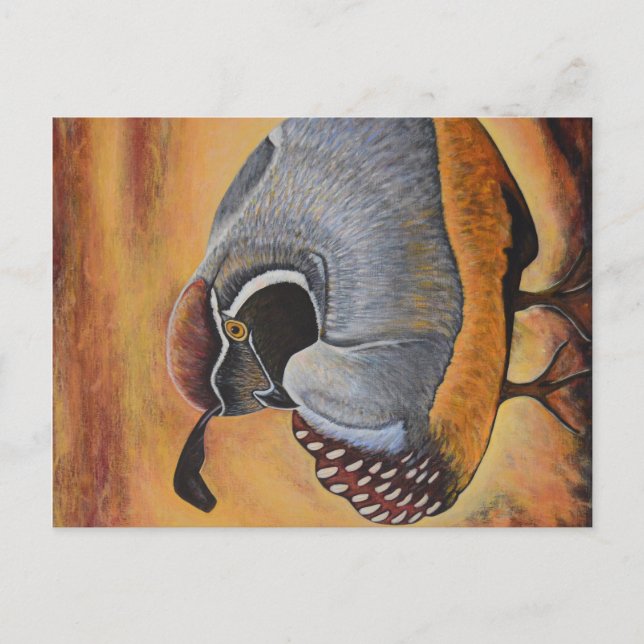 Quail Postcard (Front)