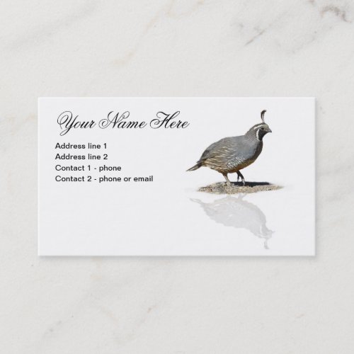 QUAIL REFLECTED #1 BUSINESS CARD