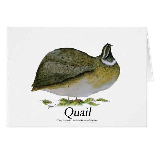 quail, tony fernandes cards (Front Horizontal)