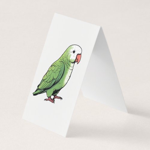 Quaker parrot bird cute design