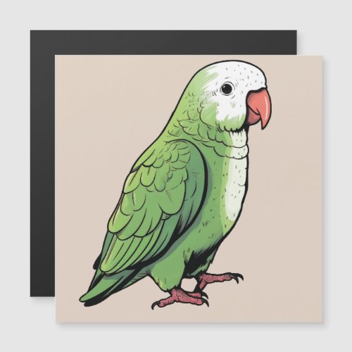 Quaker parrot bird cute design