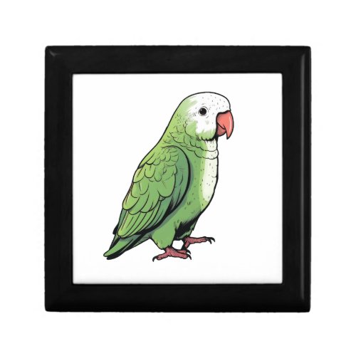Quaker parrot bird cute design gift box
