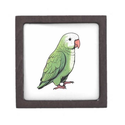 Quaker parrot bird cute design gift box