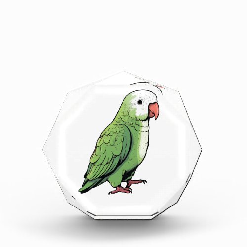 Quaker parrot bird cute design photo block