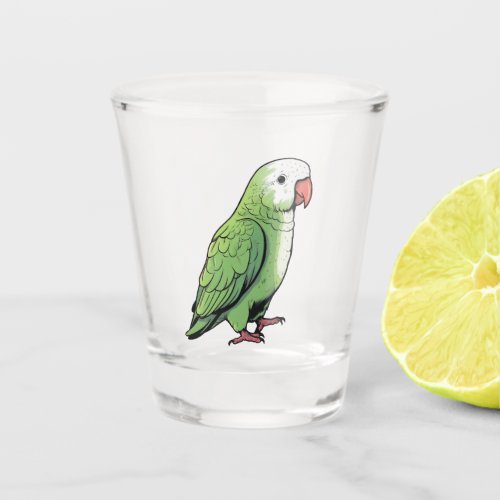 Quaker parrot bird cute design shot glass