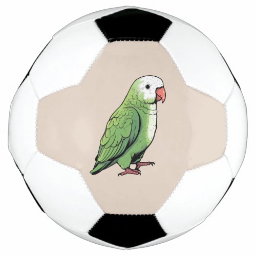 Quaker parrot bird cute design soccer ball