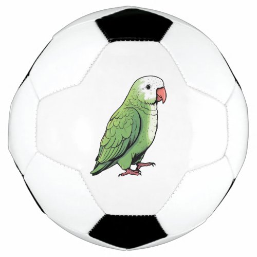 Quaker parrot bird cute design soccer ball