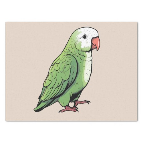 Quaker parrot bird cute design tissue paper