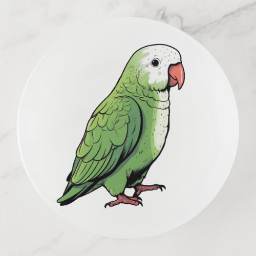 Quaker parrot bird cute design trinket tray