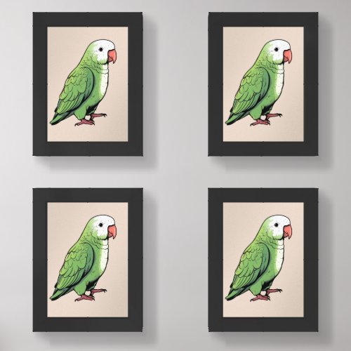Quaker parrot bird cute design wall art sets