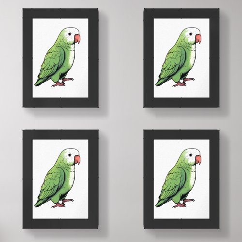 Quaker parrot bird cute design wall art sets